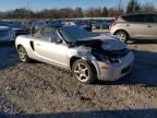 2001 Toyota MR2 Spyder