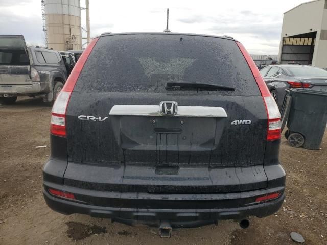 2010 Honda CR-V EXL