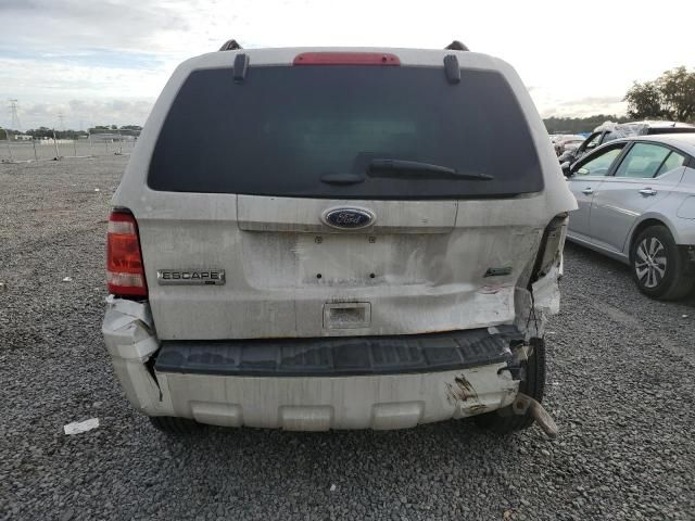 2012 Ford Escape XLT