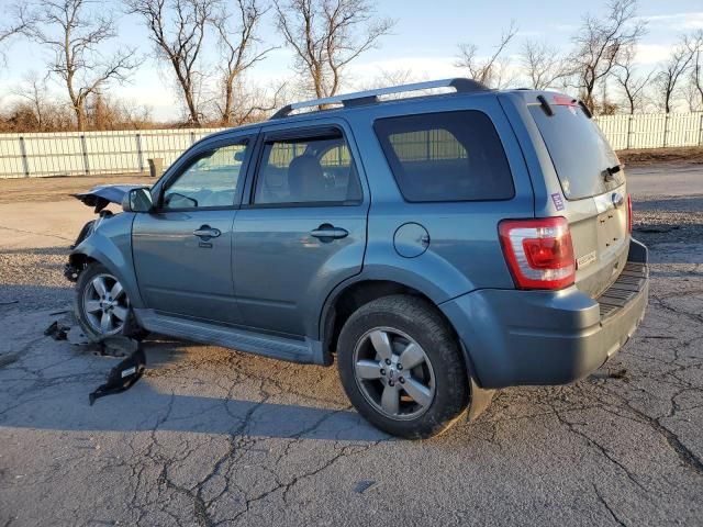 2011 Ford Escape Limited