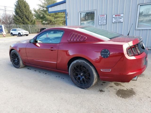 2014 Ford Mustang