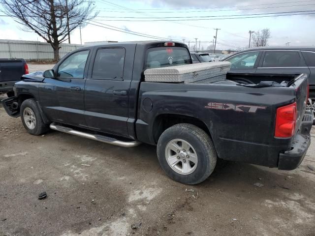 2008 Dodge Dakota SXT