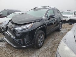 Salvage cars for sale from Copart Magna, UT: 2024 Toyota Rav4 XLE