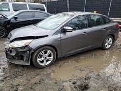 Ford Focus salvage cars for sale: 2014 Ford Focus SE