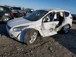 Salvage cars for sale at Earlington, KY auction: 2015 Ford Escape SE