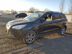 2013 Ford Escape SE en venta en London, ON