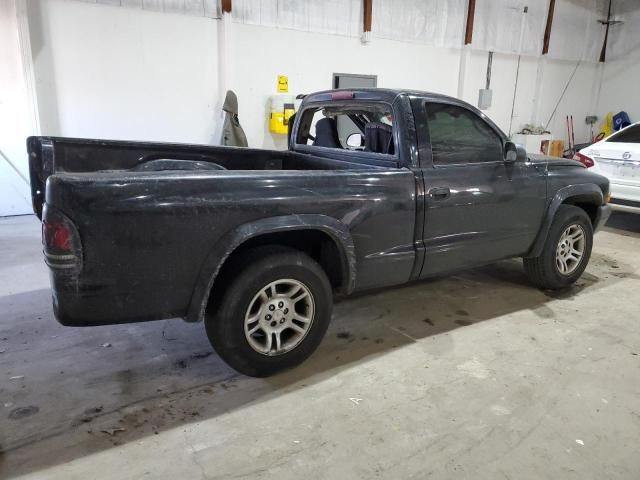 2004 Dodge Dakota SXT