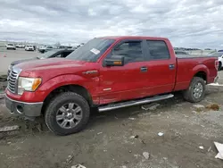 Salvage cars for sale at Earlington, KY auction: 2011 Ford F150 Supercrew