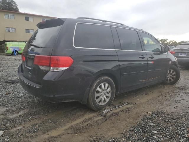 2010 Honda Odyssey EXL