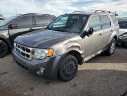 Ford Escape xlt salvage cars for sale: 2012 Ford Escape XLT