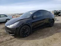 Salvage cars for sale at San Diego, CA auction: 2021 Tesla Model Y