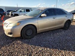 Vehiculos salvage en venta de Copart Phoenix, AZ: 2010 Toyota Camry Base