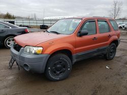 Salvage cars for sale at Columbia Station, OH auction: 2007 Ford Escape XLS