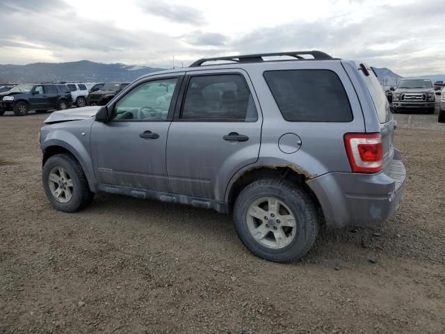 2008 Ford Escape XLT