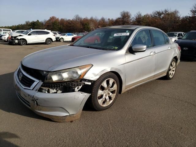 2010 Honda Accord EX