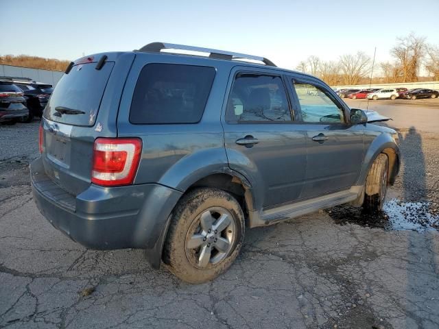 2011 Ford Escape Limited