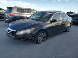 Salvage cars for sale from Copart Grand Prairie, TX: 2011 Honda Accord EXL