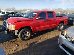 Salvage cars for sale at Louisville, KY auction: 2005 Dodge Dakota Quad SLT