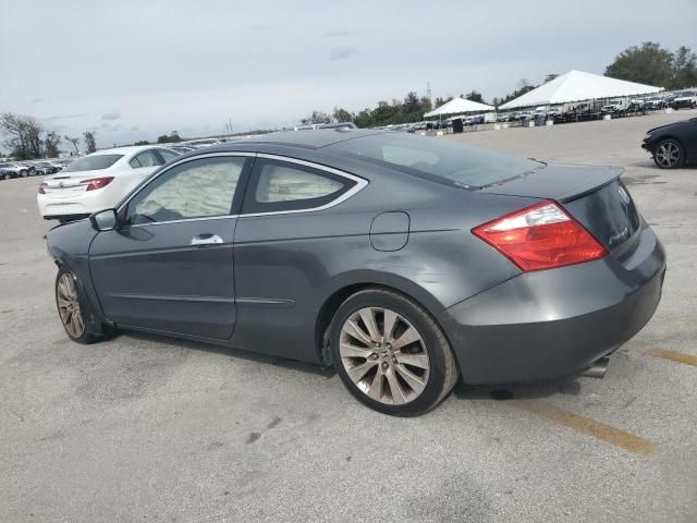 2010 Honda Accord EXL