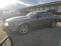 Salvage cars for sale at Louisville, KY auction: 2010 Ford Mustang