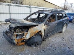 Salvage cars for sale at Lexington, KY auction: 2014 Subaru Outback 2.5I Premium