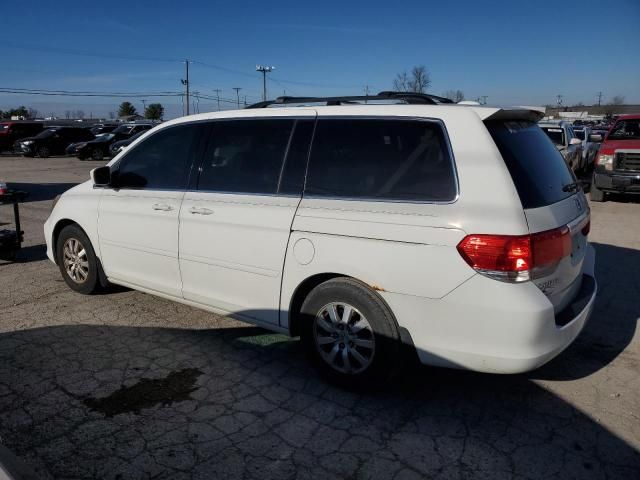 2010 Honda Odyssey EXL