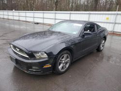 Ford Mustang salvage cars for sale: 2013 Ford Mustang