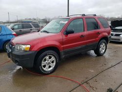 Salvage cars for sale at Louisville, KY auction: 2005 Ford Escape XLT