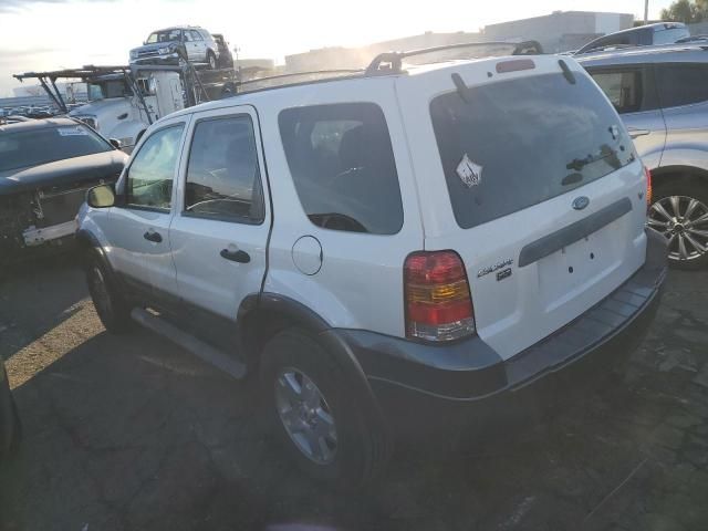 2006 Ford Escape XLT