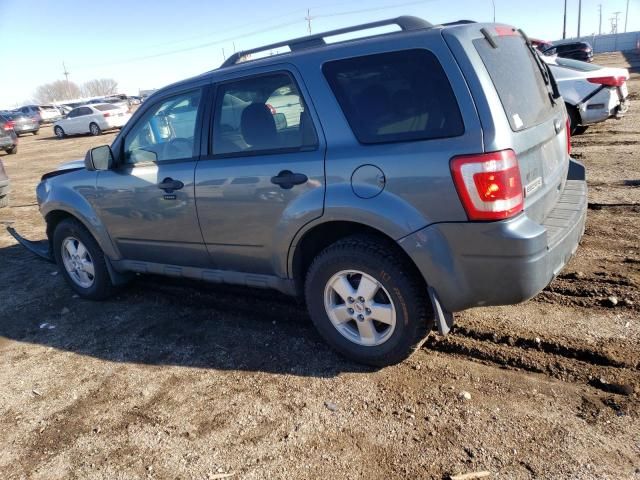 2010 Ford Escape XLT