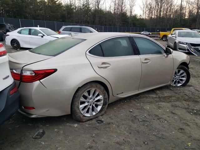 2014 Lexus ES 300H