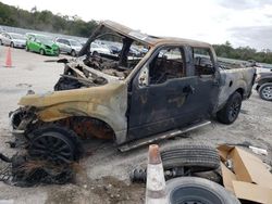 Salvage cars for sale from Copart Apopka, FL: 2013 Ford F150 Supercrew