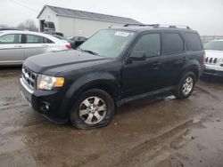 Salvage cars for sale at Portland, MI auction: 2010 Ford Escape Limited