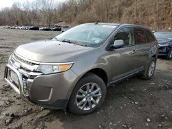 Vehiculos salvage en venta de Copart Marlboro, NY: 2013 Ford Edge SEL