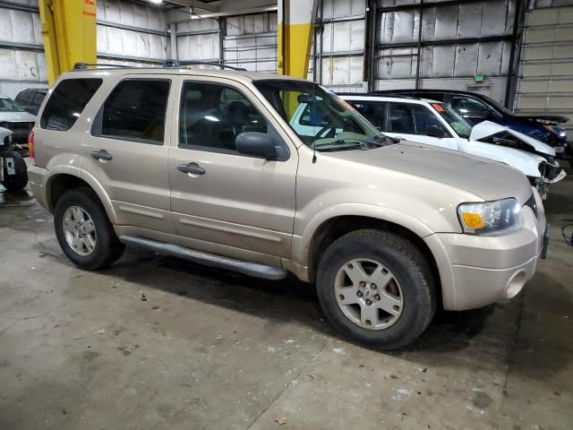 2007 Ford Escape XLT