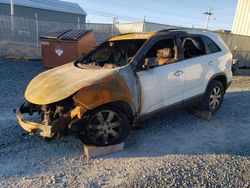 Salvage cars for sale at Elmsdale, NS auction: 2015 KIA Sorento EX