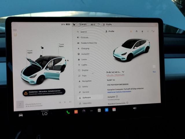 2022 Tesla Model Y