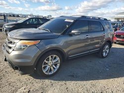 Ford Explorer Limited salvage cars for sale: 2013 Ford Explorer Limited