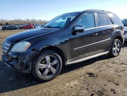 Salvage cars for sale at Windsor, NJ auction: 2010 Mercedes-Benz ML 350 4matic