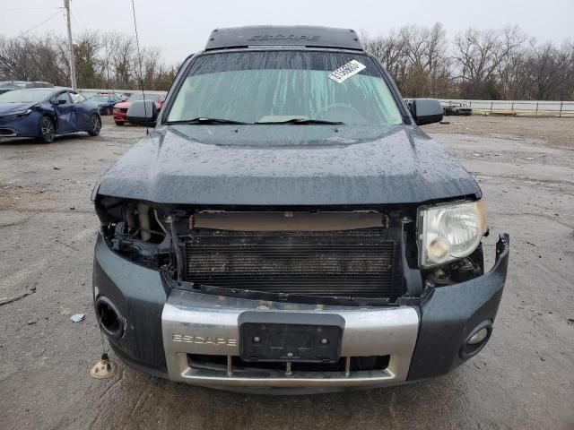 2010 Ford Escape Hybrid