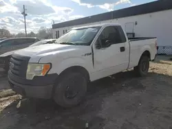 Ford salvage cars for sale: 2010 Ford F150