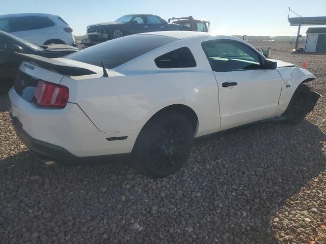 2010 Ford Mustang