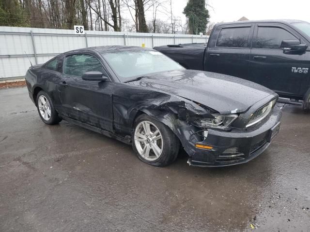 2013 Ford Mustang