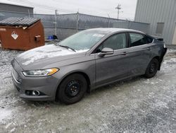 Salvage cars for sale at Elmsdale, NS auction: 2014 Ford Fusion SE