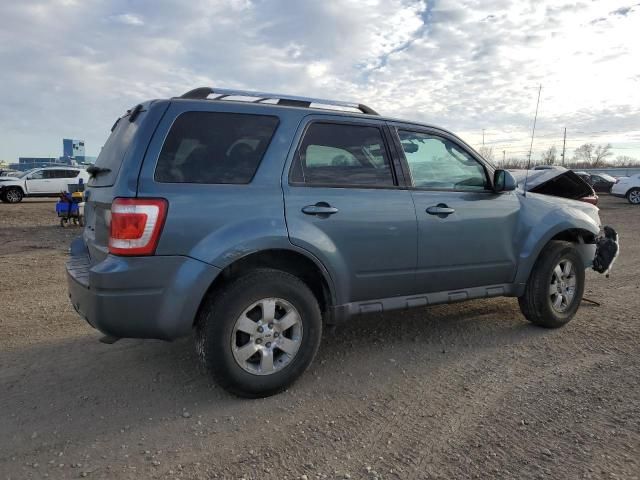 2011 Ford Escape Limited