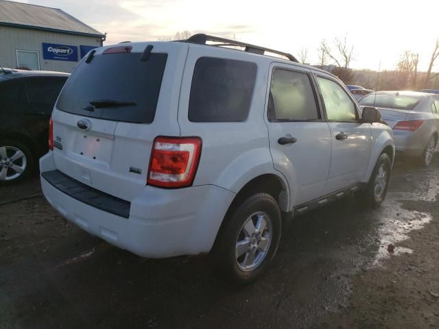 2011 Ford Escape XLT