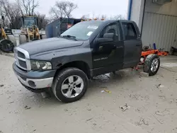 2002 Dodge RAM 1500 en venta en Franklin, WI