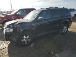 Ford salvage cars for sale: 2012 Ford Escape XLT