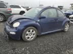 2002 Volkswagen New Beetle GLS