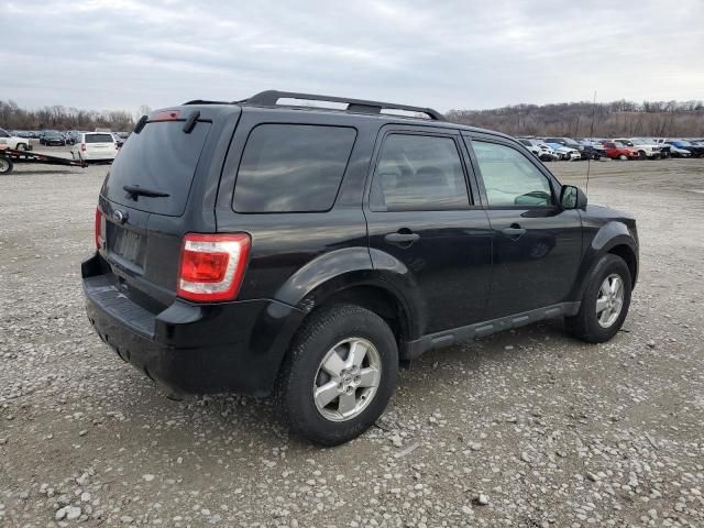 2010 Ford Escape XLT